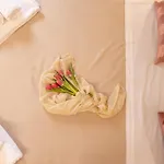Bed & Breakfast Casale Trifoglio 3*