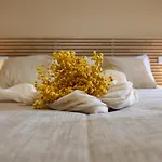 ベッド・アンド・ブレックファスト Casale Trifoglio モラーノ・カーラブロ
