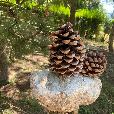 Couette-café Casale Trifoglio